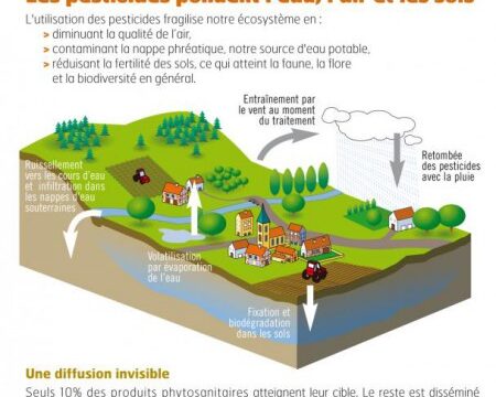Produits toxiques, le Maroc poubelle de l’Europe ?