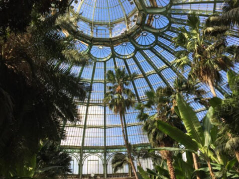 🇧🇪-Les Serres royales de Laeken s’ouvrent au public du 13 mai au 6 juin