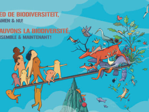 Réflexion : Biodiversité en détresse, la solution c’est “Nous”
