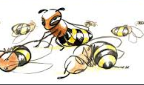 🇲🇦- Alerte-Apiculture : aide d’urgence débloquée par le gouvernement
