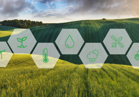 🇲🇦-L’ agriculture de précision: une belle opportunité pour les exploitants marocains