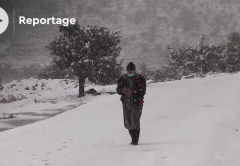 🇲🇦-Région d’Agadir : la neige à Tiqqi pour la plus grande joie des habitants