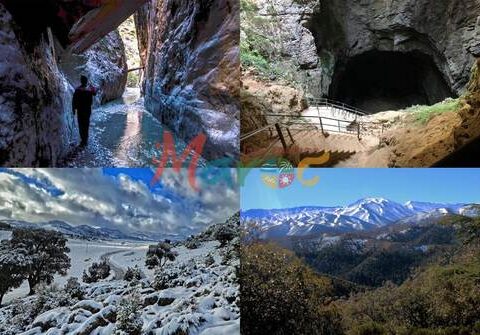 🇲🇦-À lire et à découvrir : la biodiversité du Maroc à travers ses réserves naturelles protégées
