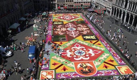 🇧🇪-Bruxelles: le retour du tapis de fleurs