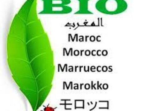 🇲🇦-Agadir : Tout sur le nouveau contrat-programme Maroc Bio