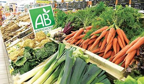 🇲🇦-Bio au Maroc: nombreux défis à affronter avec optimisme
