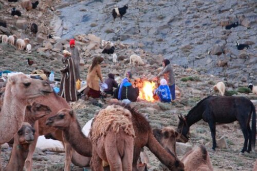 🇲🇦-ARTE :  À voir le documentaire « Les nomades du Haut Atlas »