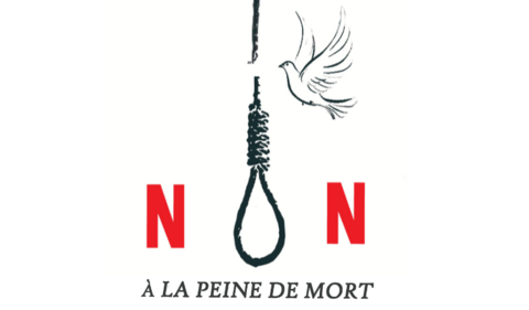 🇲🇦-ARMCDH : JEUDIS CINEMA DROITS HUMAINS