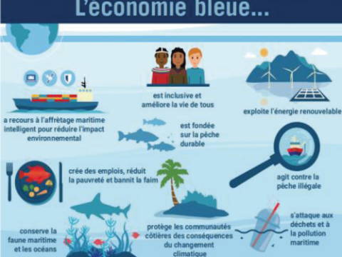 🇲🇦-🌊-Pêche au Maroc : quand durabilité et compétitivité s’unissent !