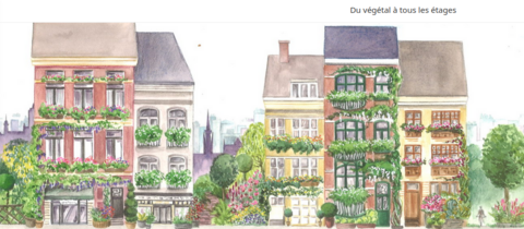 🇧🇪-Bruxelles, un modèle de biodiversité urbaine : une nécessité à partager